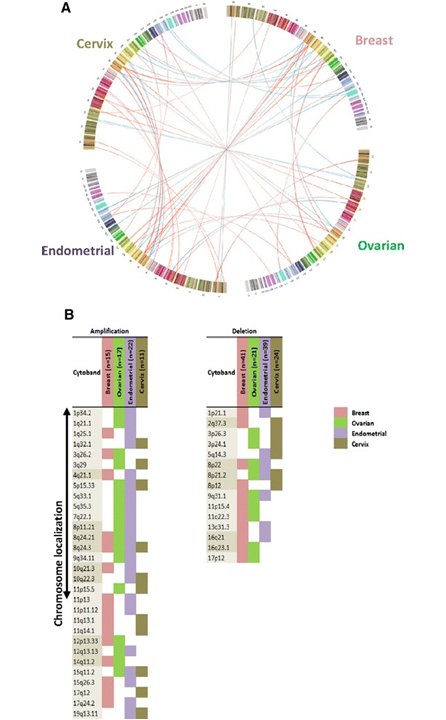 Figure 2. Normal to cancer.